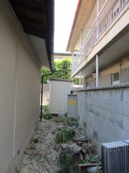 愛知　名古屋　庭木　越境　伐採
