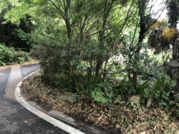 瀬戸市　伐採作業前