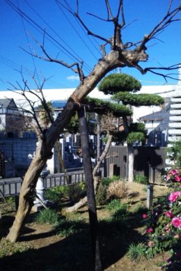 方杖支柱