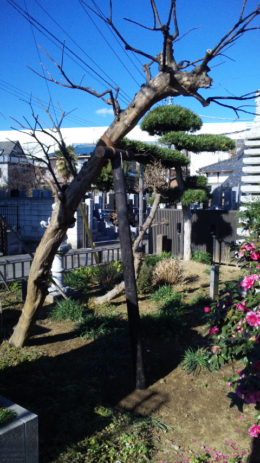 方杖支柱