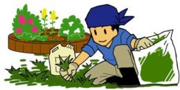 草取り　イラスト